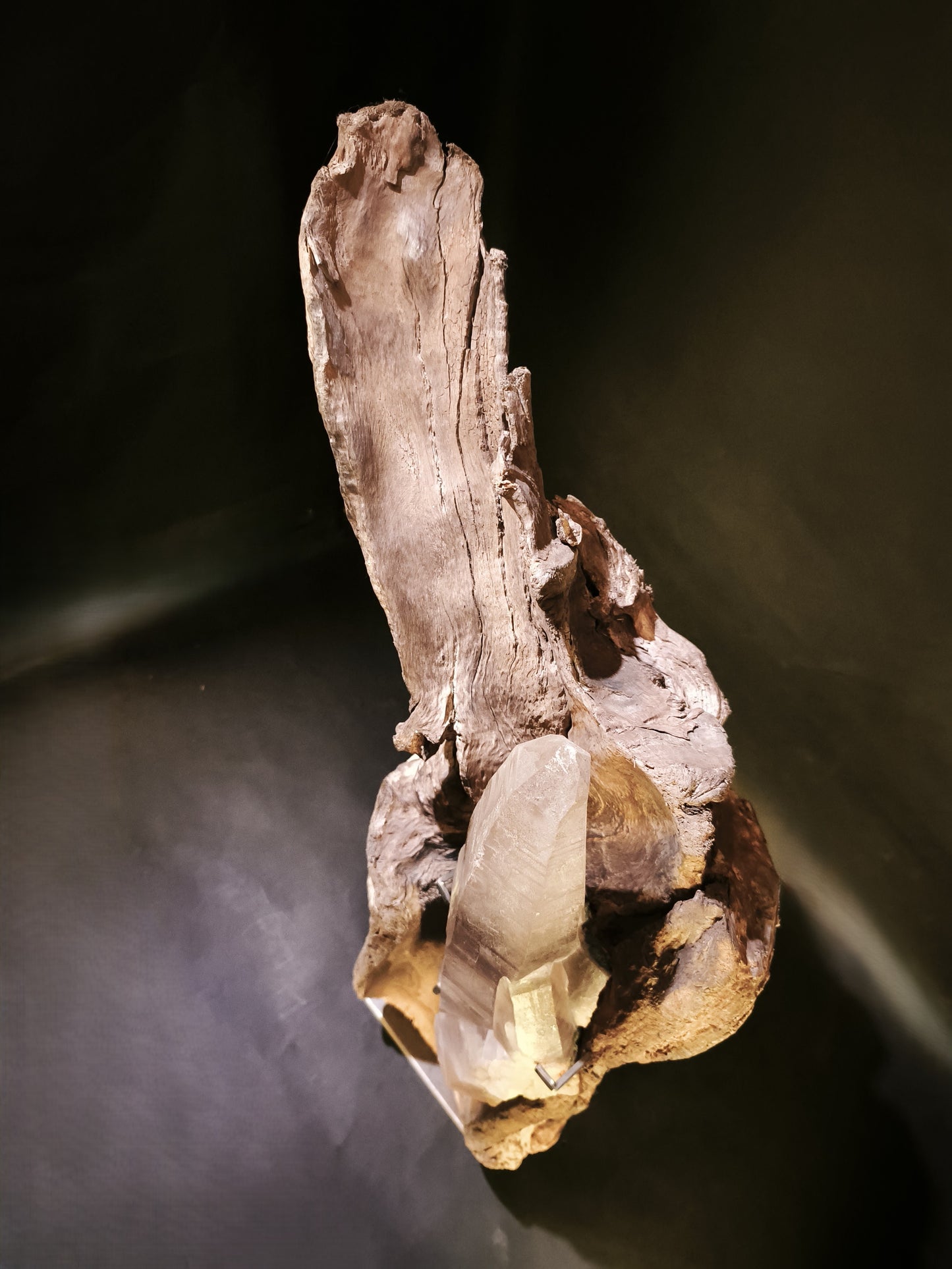 Roots & Minerals • RIT-RM-001
