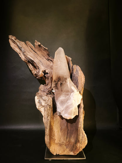 Roots & Minerals • RIT-RM-001
