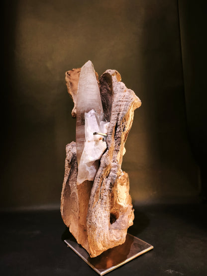 Roots & Minerals • RIT-RM-001