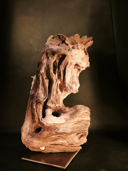 Roots & Minerals • RIT-RM-001