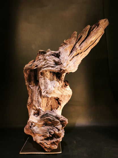 Roots & Minerals • RIT-RM-001