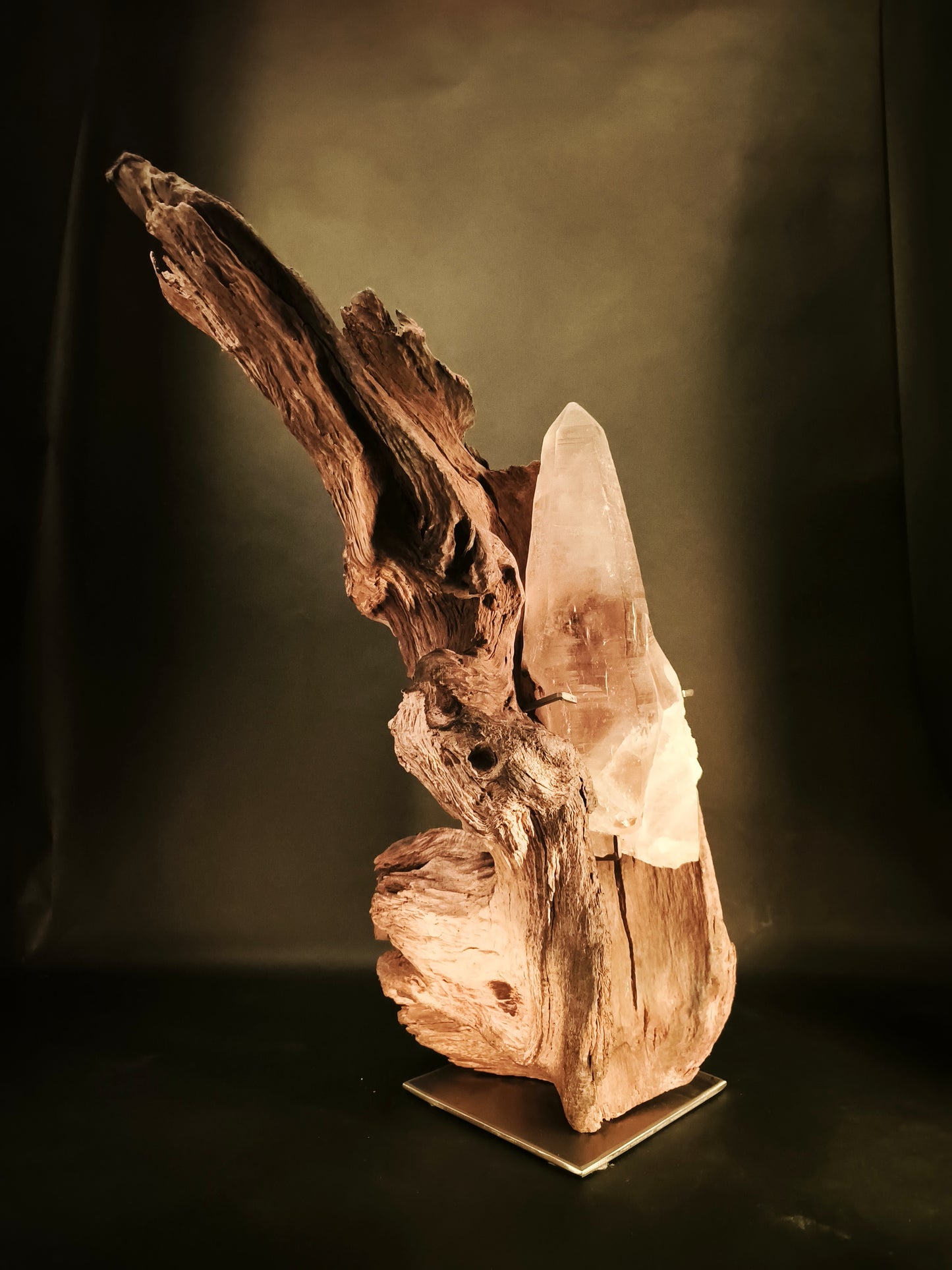 Roots & Minerals • RIT-RM-001