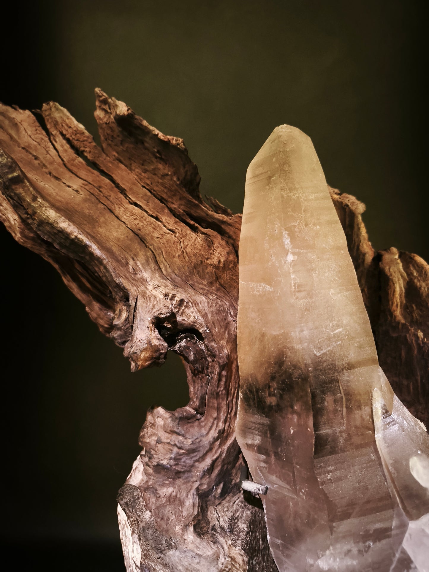 Roots & Minerals • RIT-RM-001