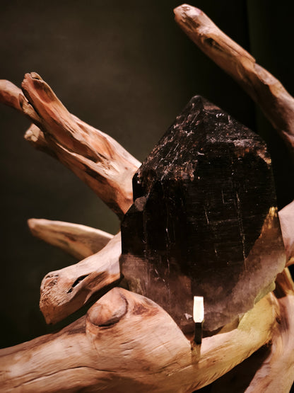 Roots & Minerals • RIT-RM-002