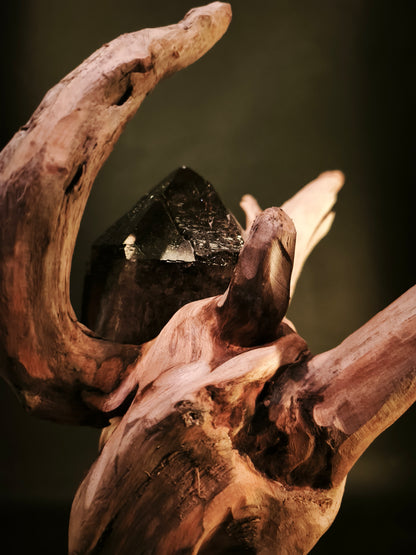 Roots & Minerals • RIT-RM-002