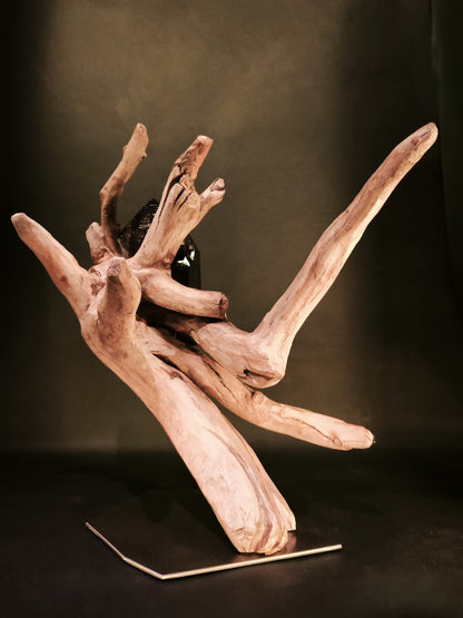 Roots & Minerals • RIT-RM-002